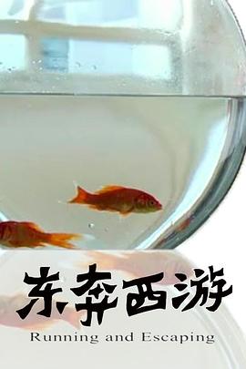 11度青春之《东奔西游》(全集)