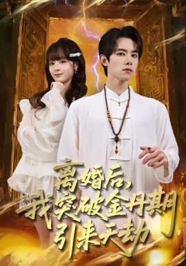 离婚后，我突破金丹期，引来天劫(全集)