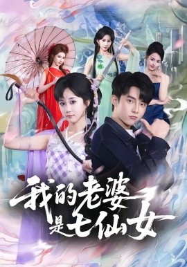我的老婆是七仙女(全集)